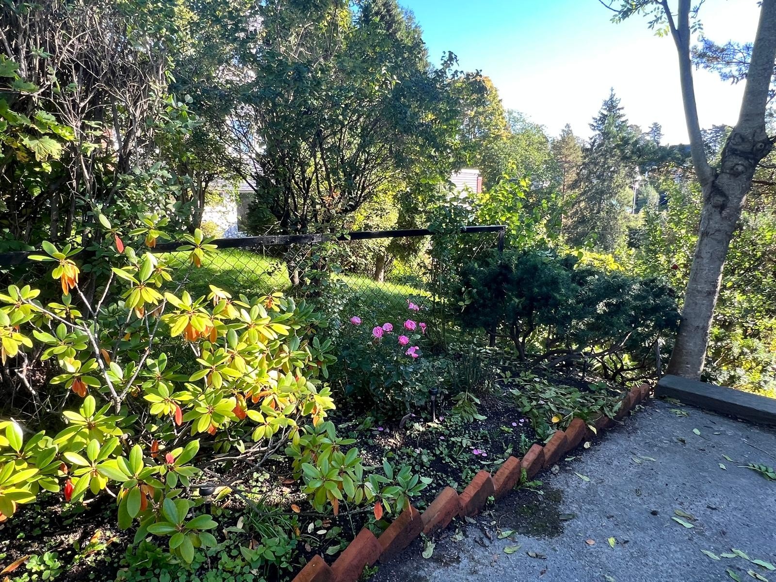 Privat bilde Galleribilde