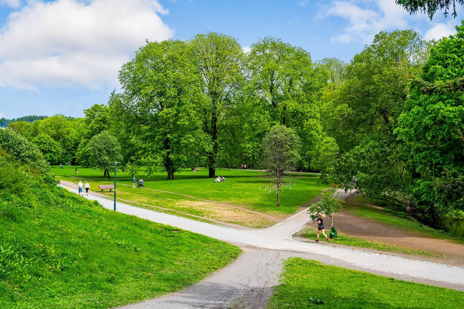 Området er preget av mange parker og grønne lunger som gir enkel tilgang på utendørs hygge og trening. Galleribilde