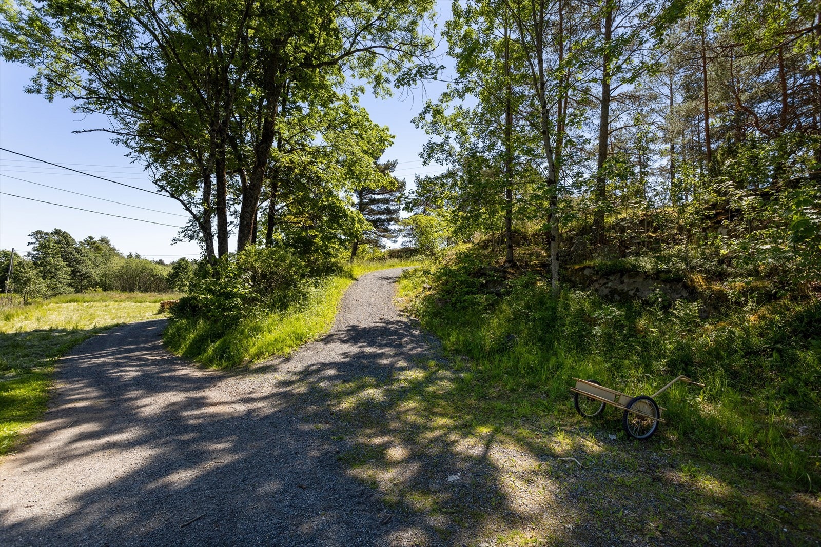 Adkomst Galleribilde