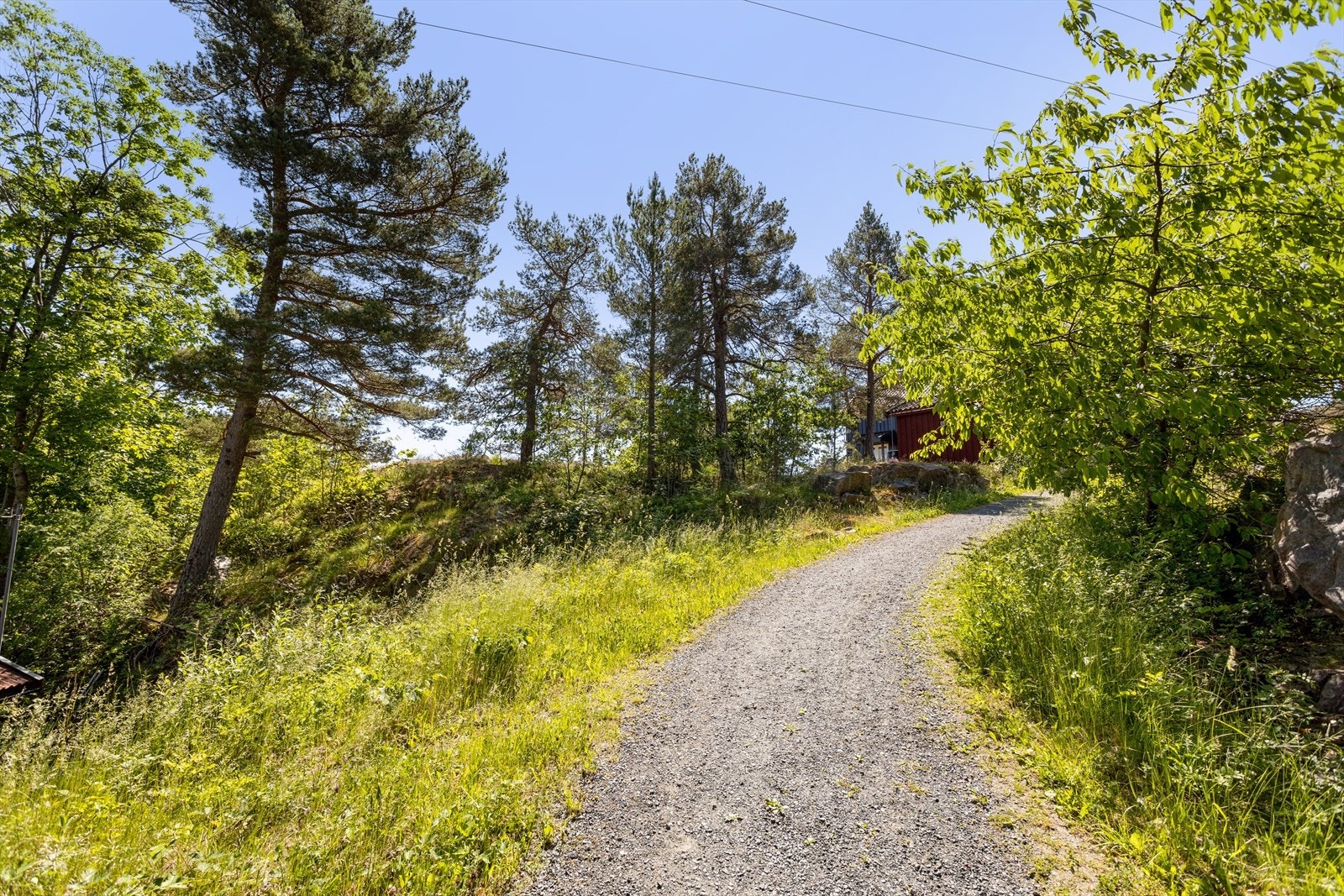 Veien opp til tomten - Rekvikveien Galleribilde