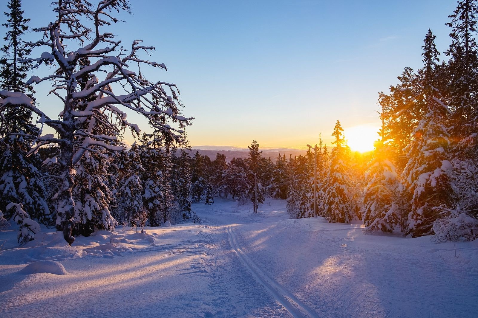 Det er kort vei til marka med flotte tur- og skiløyper, samt flere idrettsanlegg som Flatåsen idrettsplass og Furuhaugen skole med aktivitetshall. Galleribilde