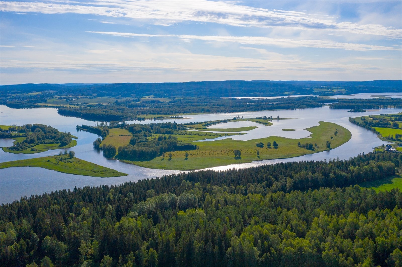 Nordre Øyeren Naturreservat er Nordens største innlandsdelta. Her finner du et yrende dyreliv med totalt registrert 269 fuglearter, 25 fiskearter, 18 pattedyrarter samt amfibier og krypdyr. Galleribilde