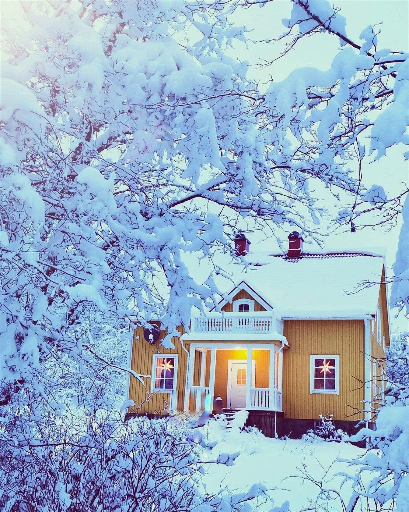 Vinterbild Galleribilde