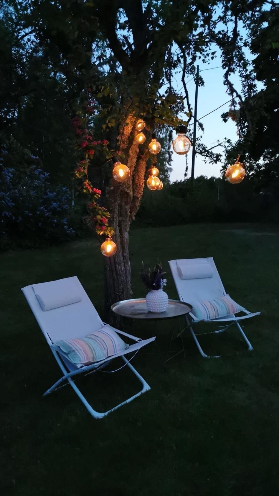 Kvällsmys i trädgården! Galleribilde