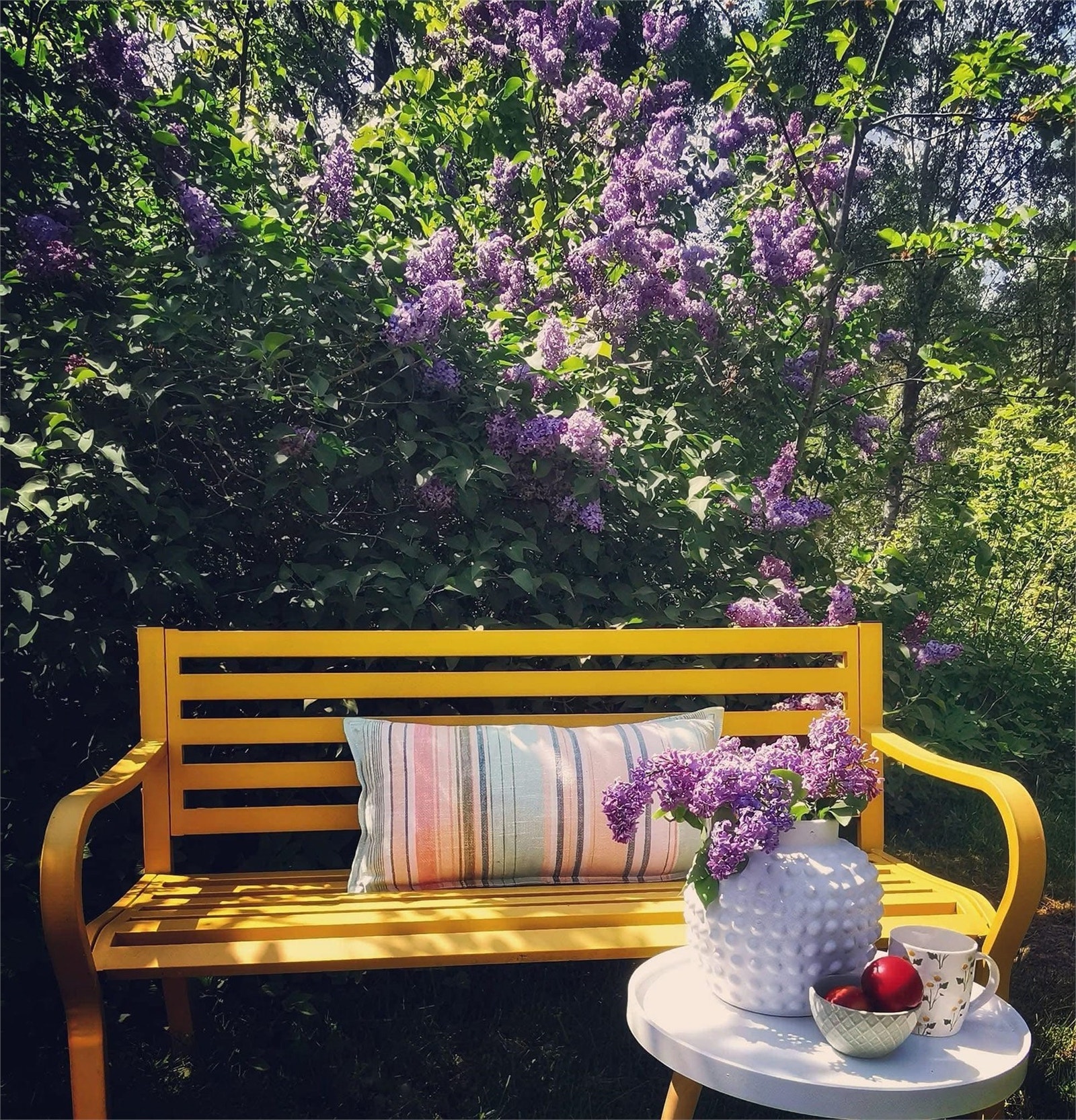 Mys i trädgården Galleribilde