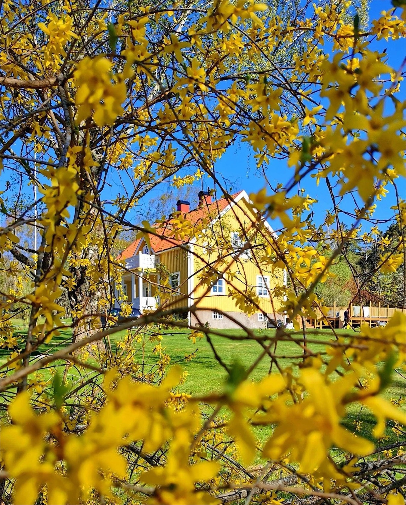Vacker höstdag! Galleribilde