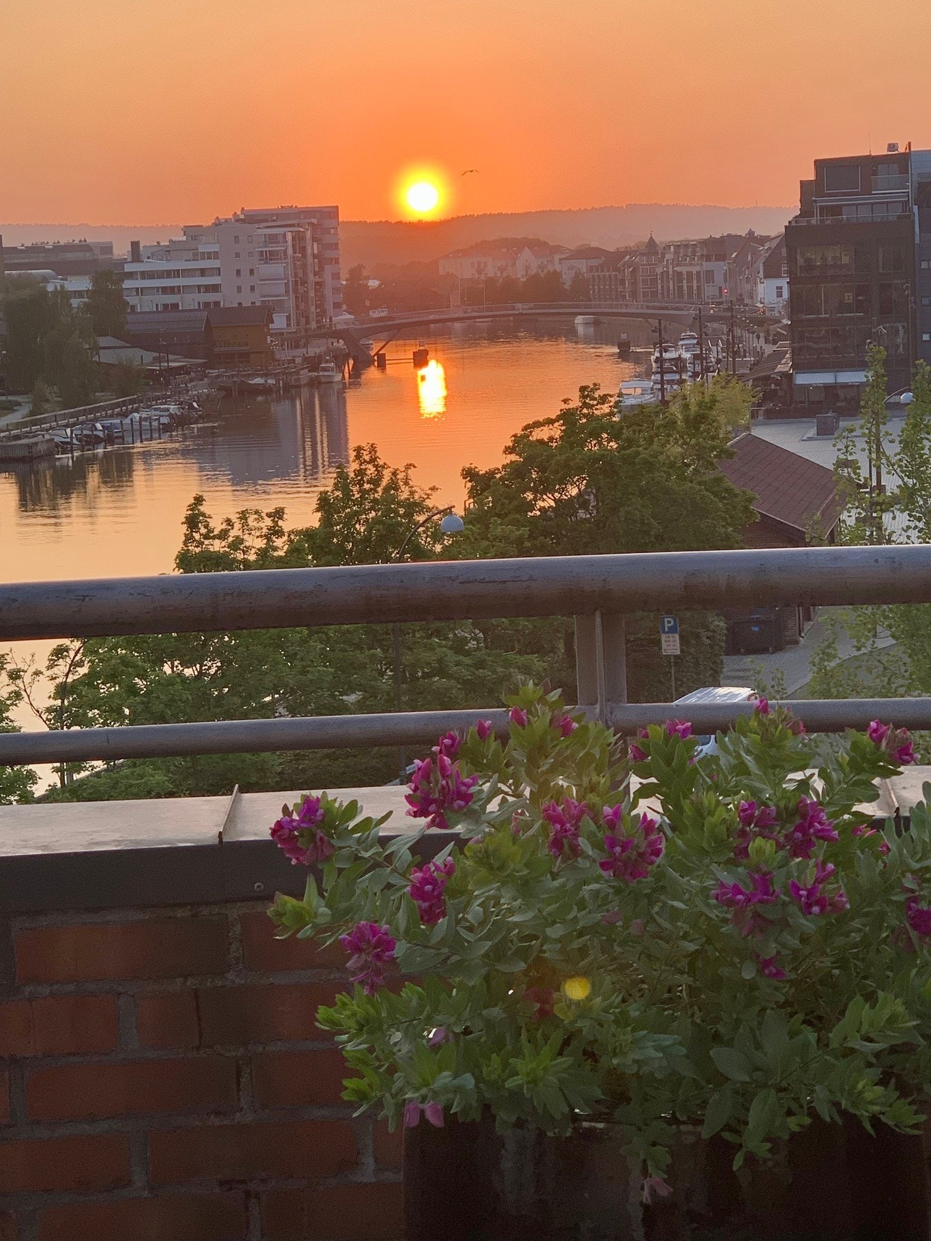 Her kan du samle på solnedganger. Galleribilde