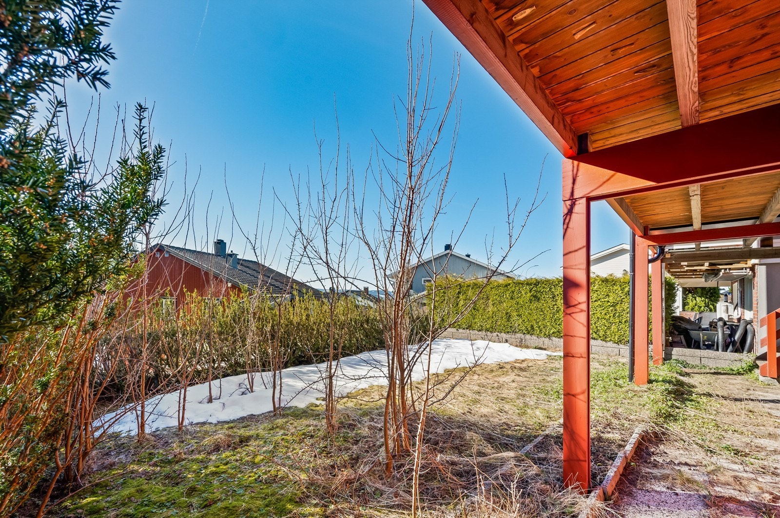 Solrik hage som er omkranset med hekk. Galleribilde