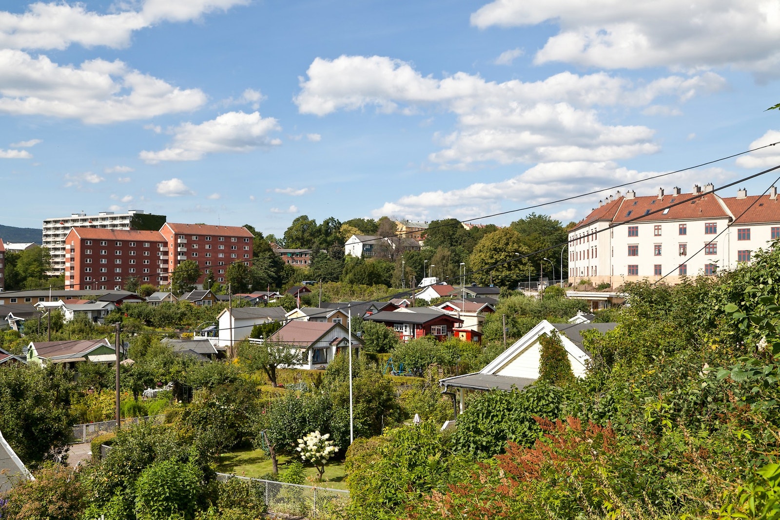 Rett i nærheten ligger Rodeløkkas nydelige kolonihage, perfekt for koselige søndagsturer. Galleribilde