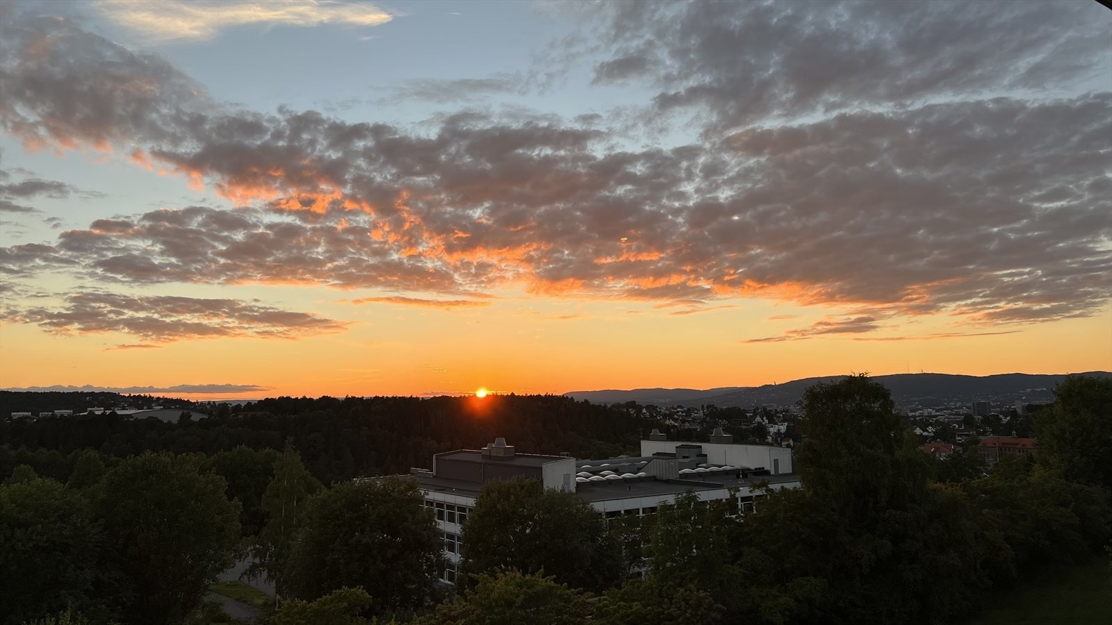 - Bilde tatt av selger - Galleribilde