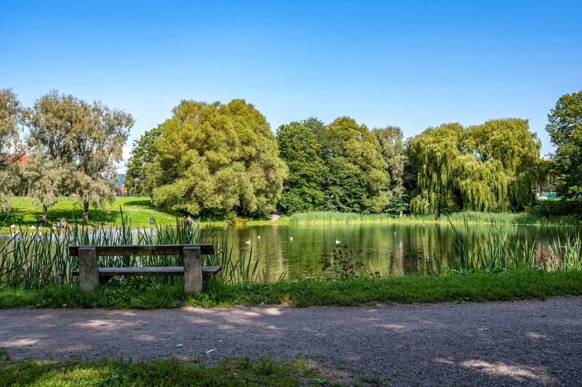 Flere turstier rundt området på Hovin. Galleribilde