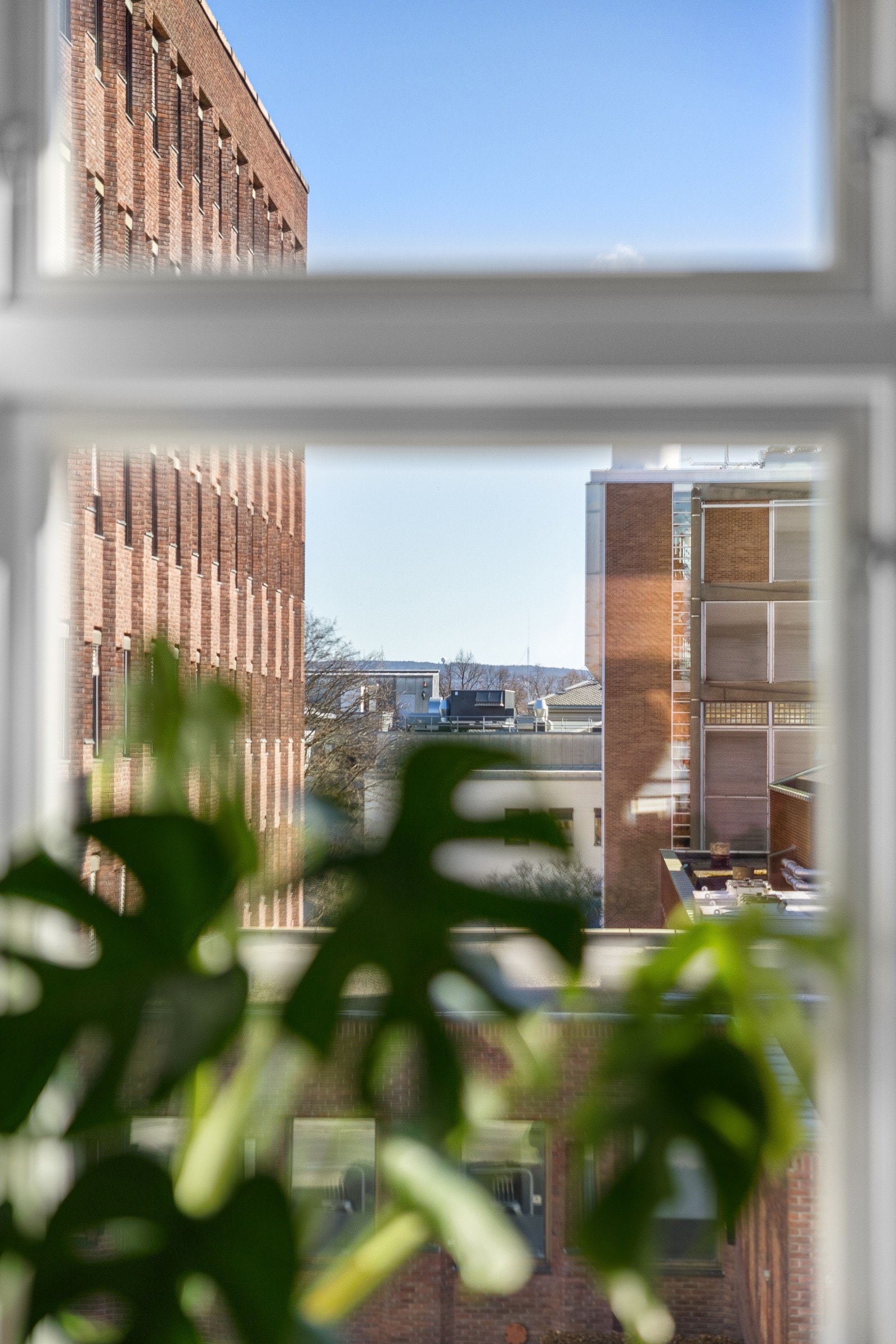 Flott utsyn mot Ekebergåsen. Galleribilde