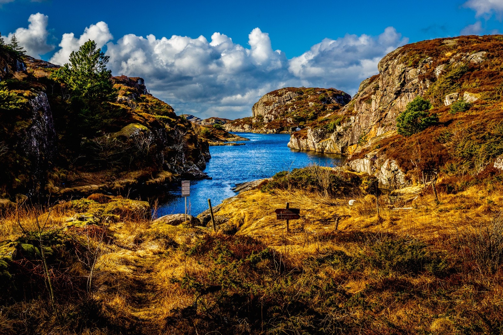 Det er nesten bare å ta på seg skoene og vandre i en retning. Galleribilde