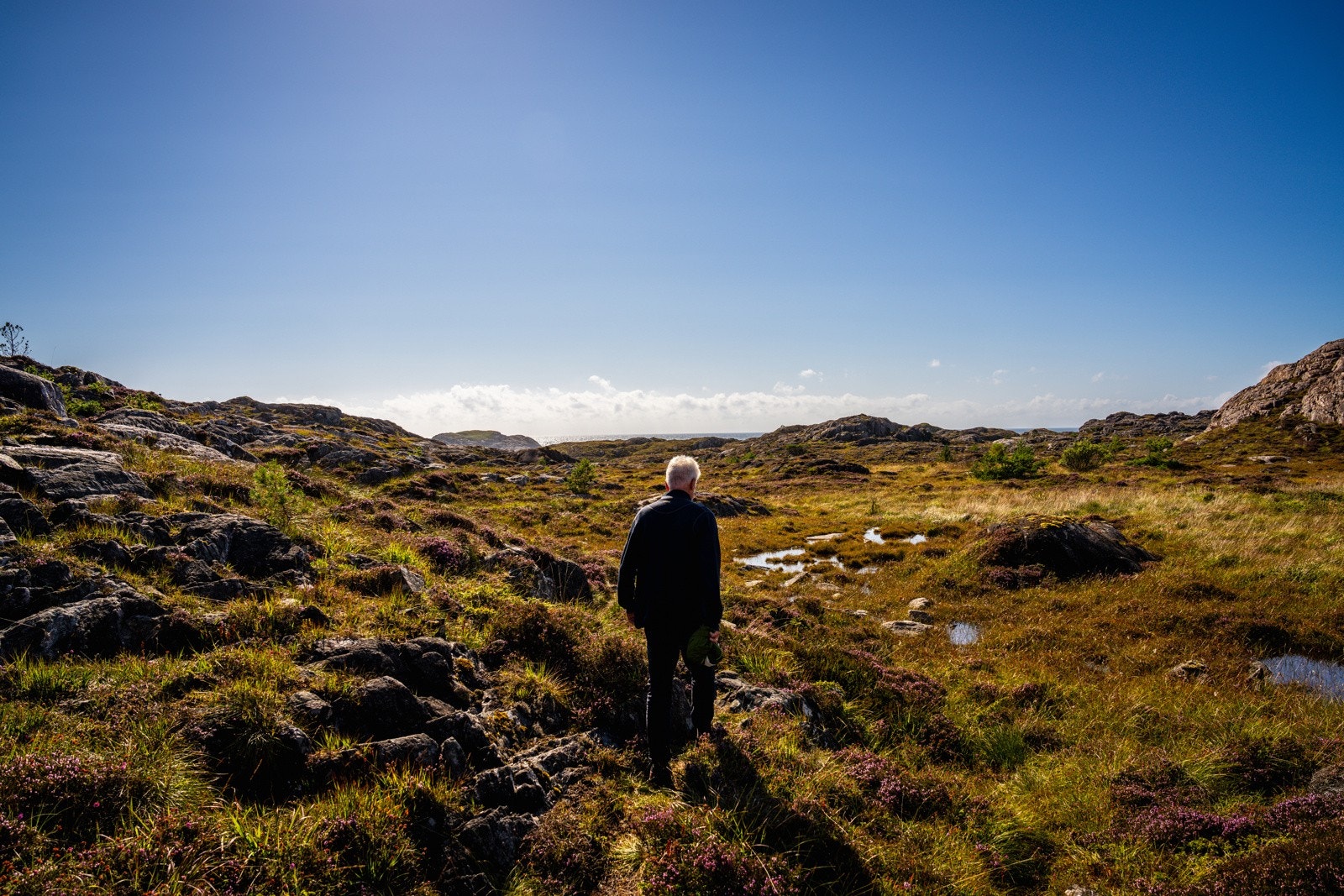 Godt opparbeidede og merkede stier. Galleribilde