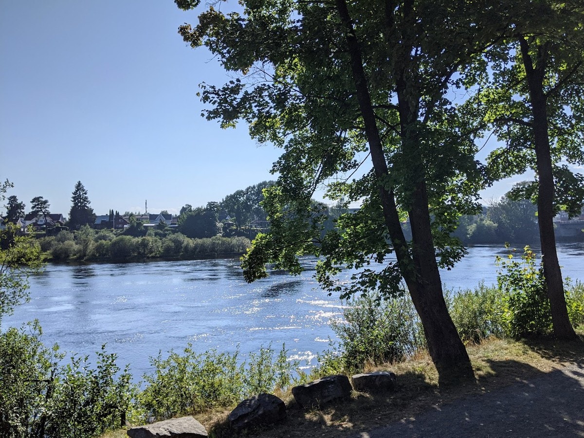 Drammenselva like ved - en av Norges beste lakseelver. Galleribilde