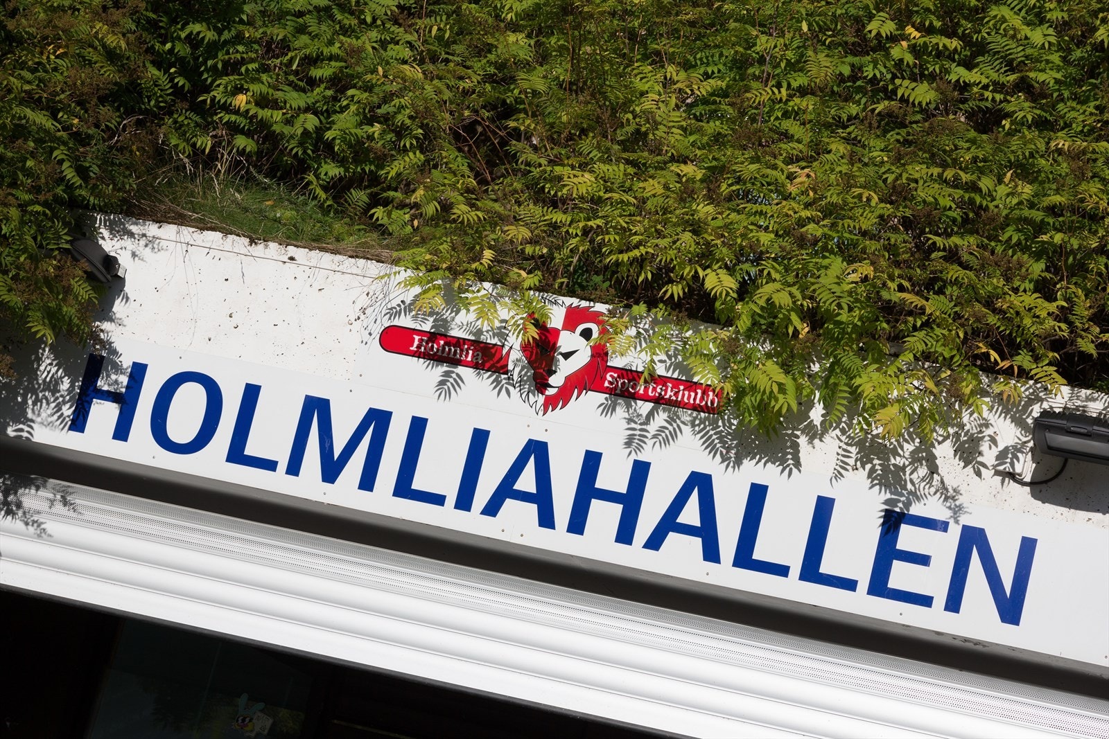 Holmliahallen ved siden av senteret er en innendørs idrettshall med en stor hall og en liten hall. Holmliahallen drives av Holmlia sportsklubb. Galleribilde
