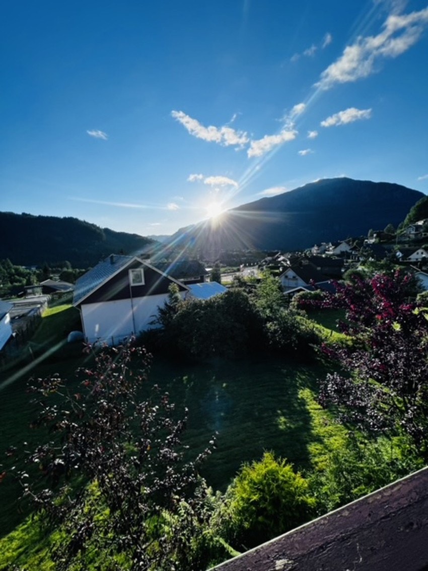 Selgers private foto Galleribilde