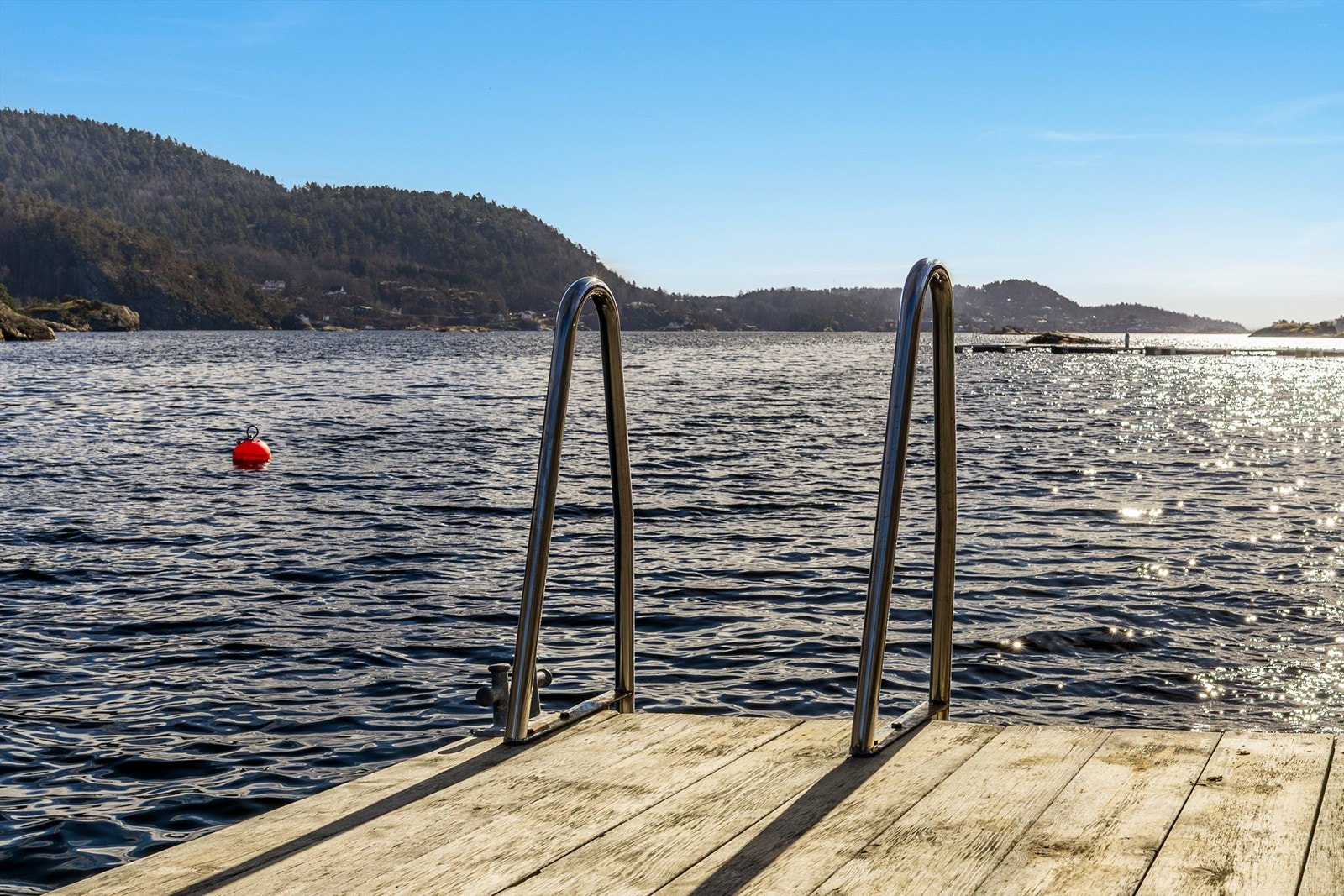 Hopp i havet... Galleribilde