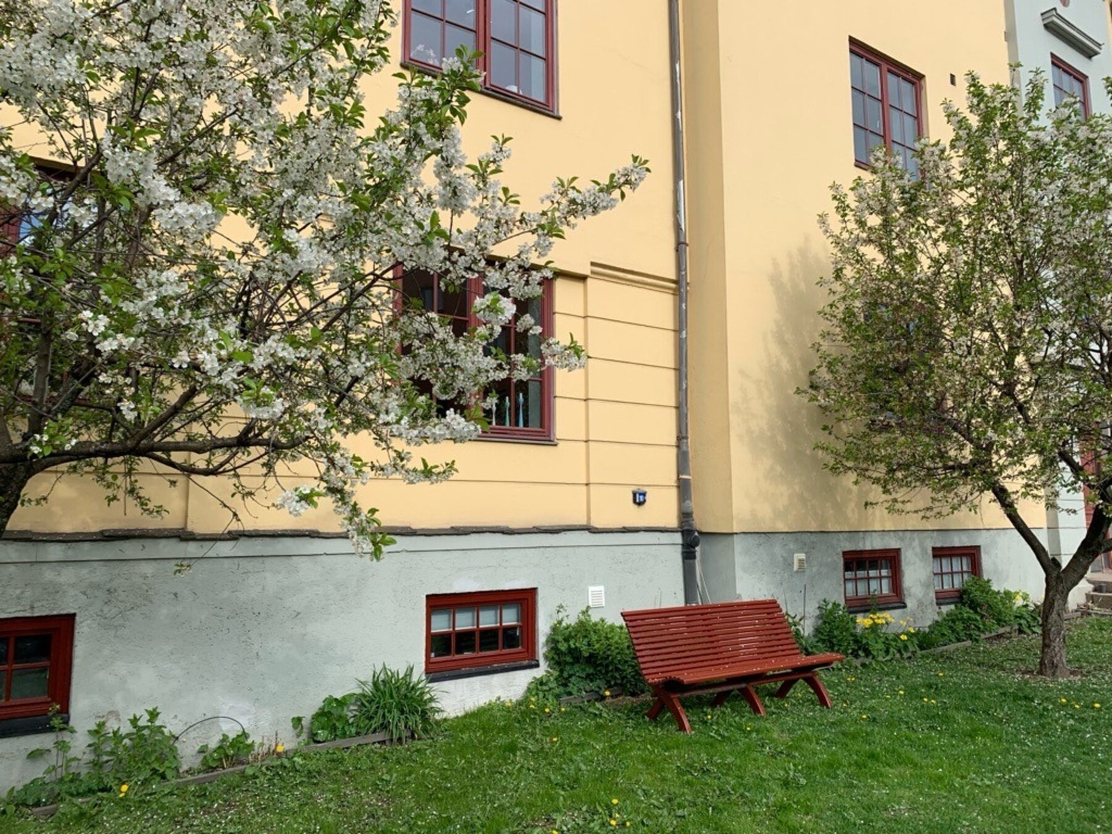 Selgers eget bilde. Galleribilde