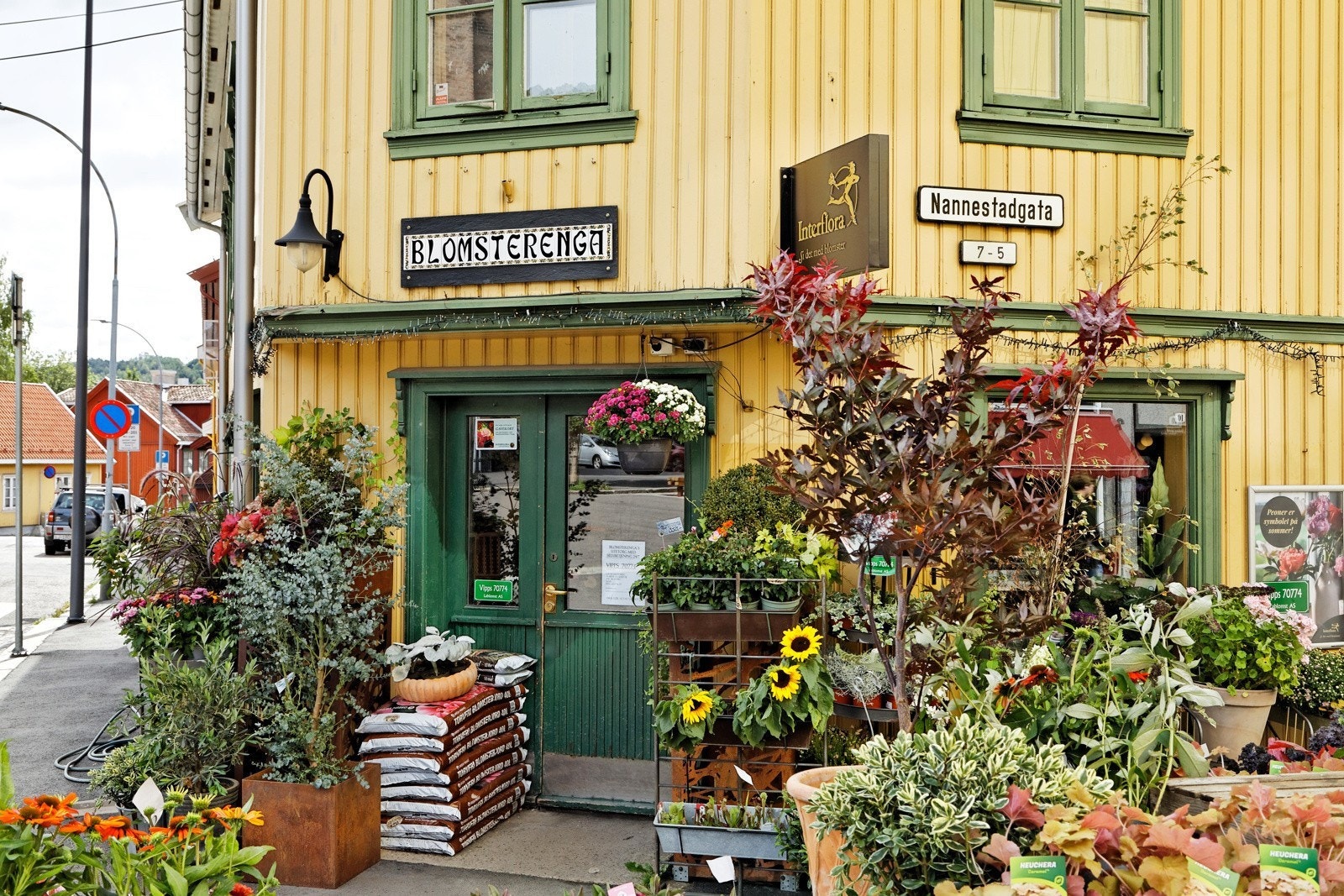 Nærområdet Galleribilde