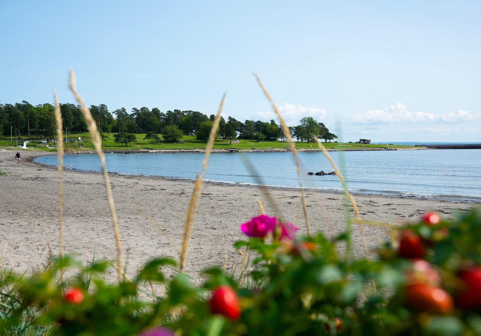Bademuligheter på muligens Vestfolds fineste strand, Ringshaugstranda Galleribilde
