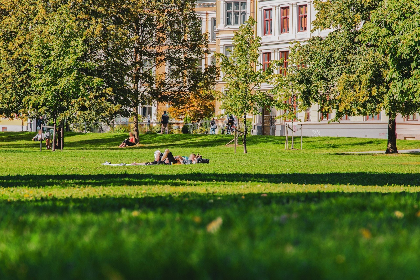 Flotte parker finnes også rett i nærheten, bl.a. Sofienbergparken som du omtrent finner rett utenfor døren. Galleribilde