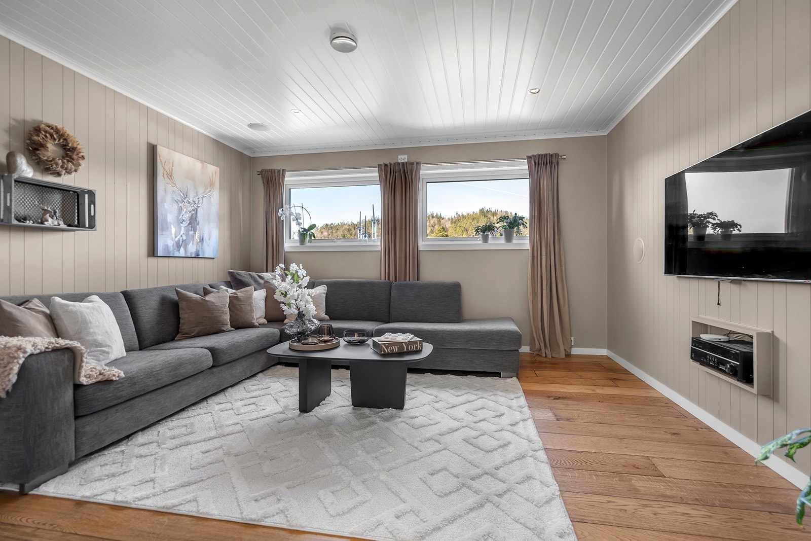 TV-stue Galleribilde