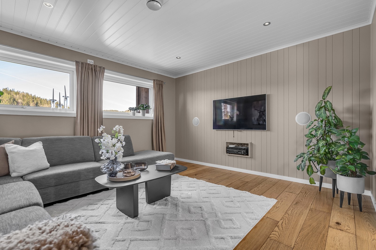 TV-stue Galleribilde