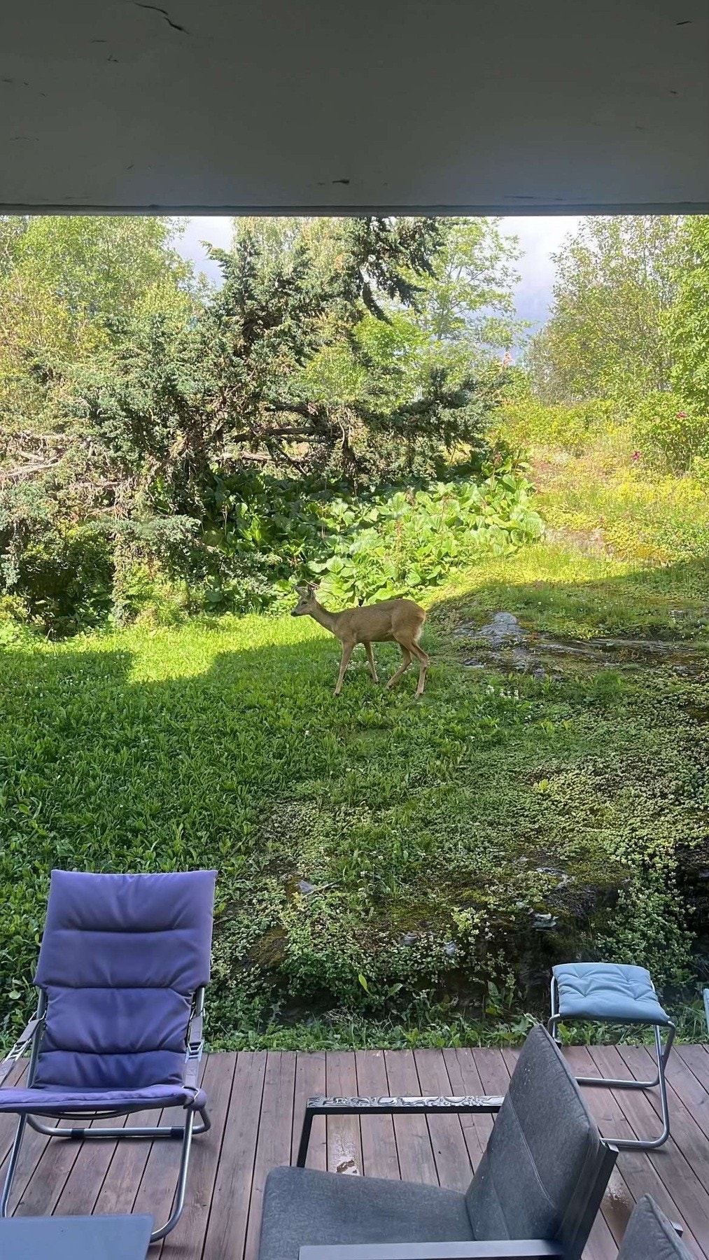 Selgers bilde. Galleribilde