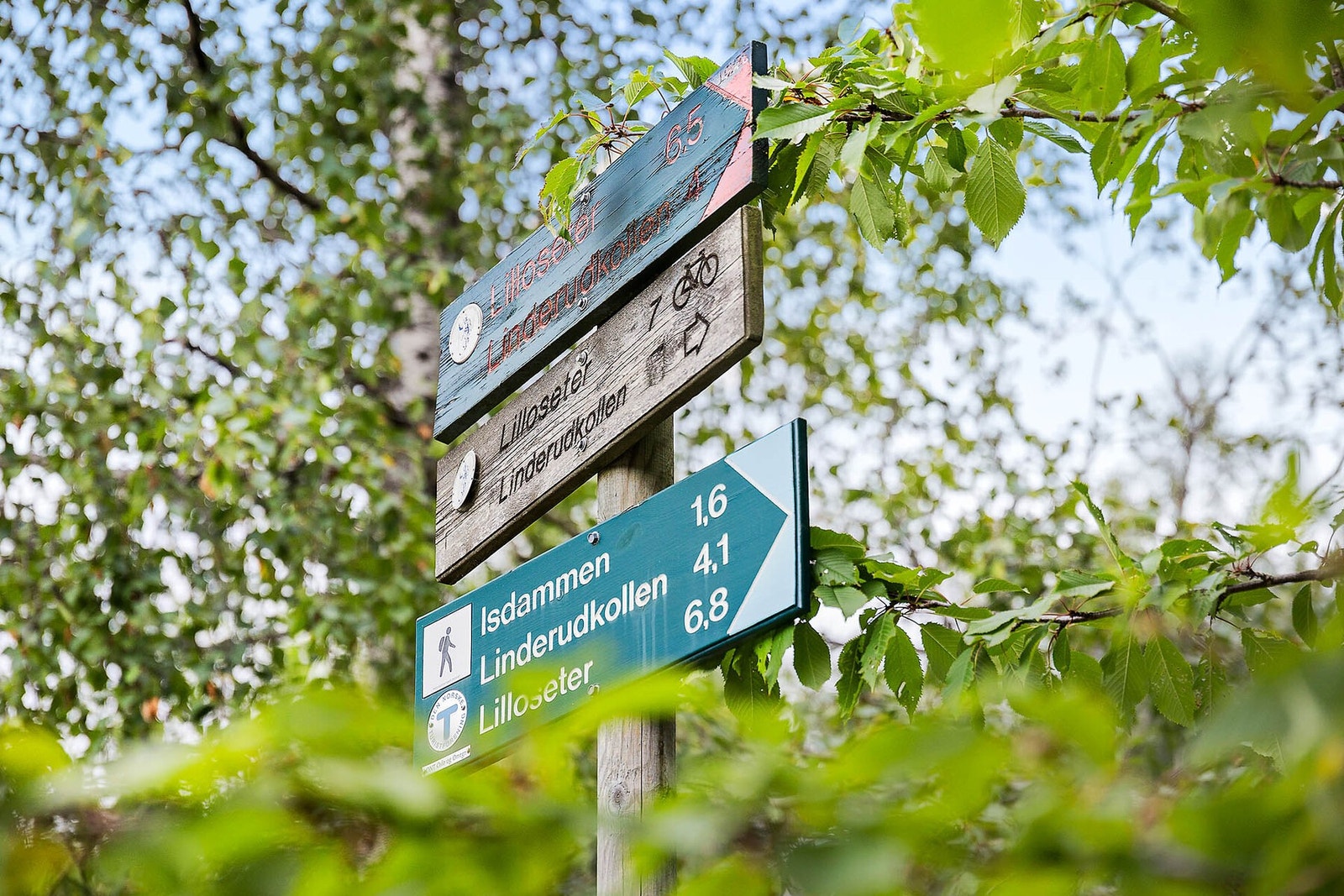 Fantastisk søndagsaktivitet. Galleribilde