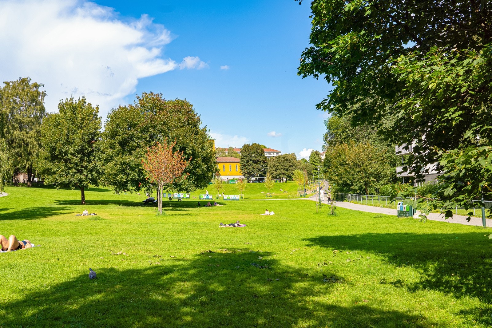 Flere parker og turområder i nærområdet Galleribilde