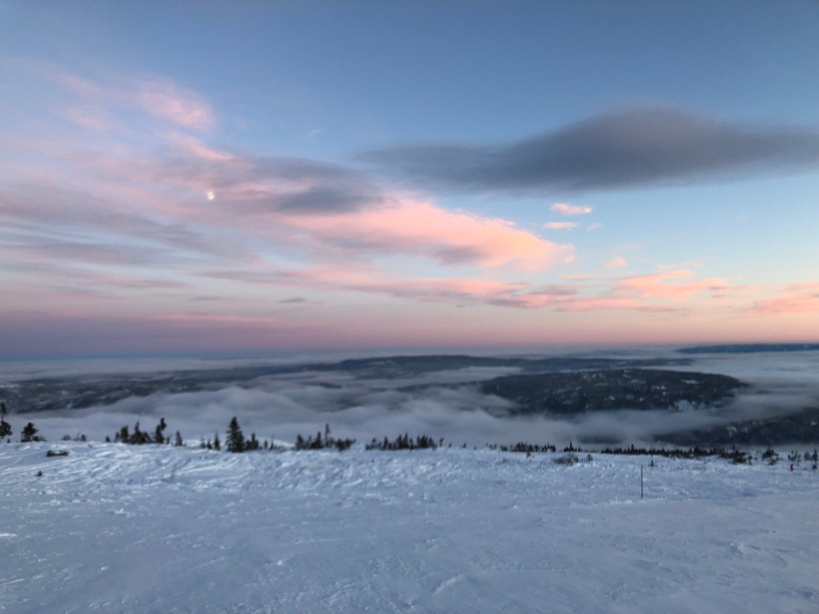 Selgers bilde fra området Galleribilde