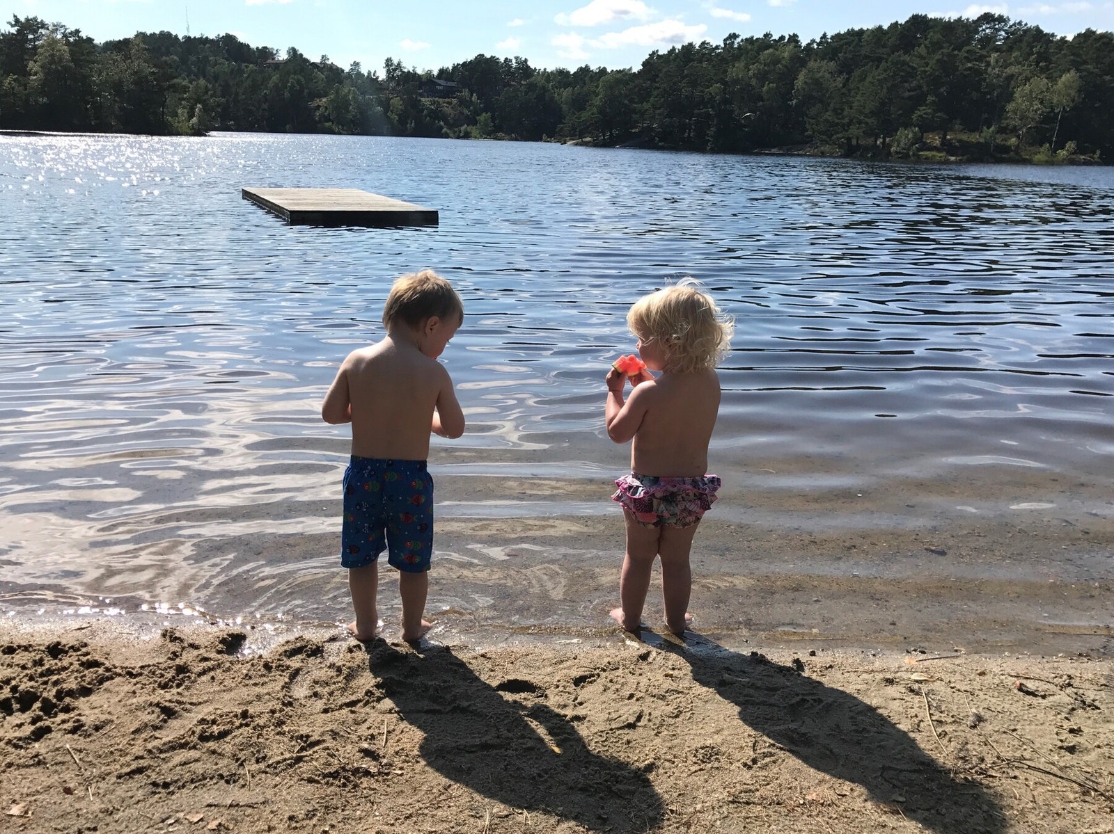 Privat foto utlånt av eier, en sommerdag i Tretjønn Galleribilde