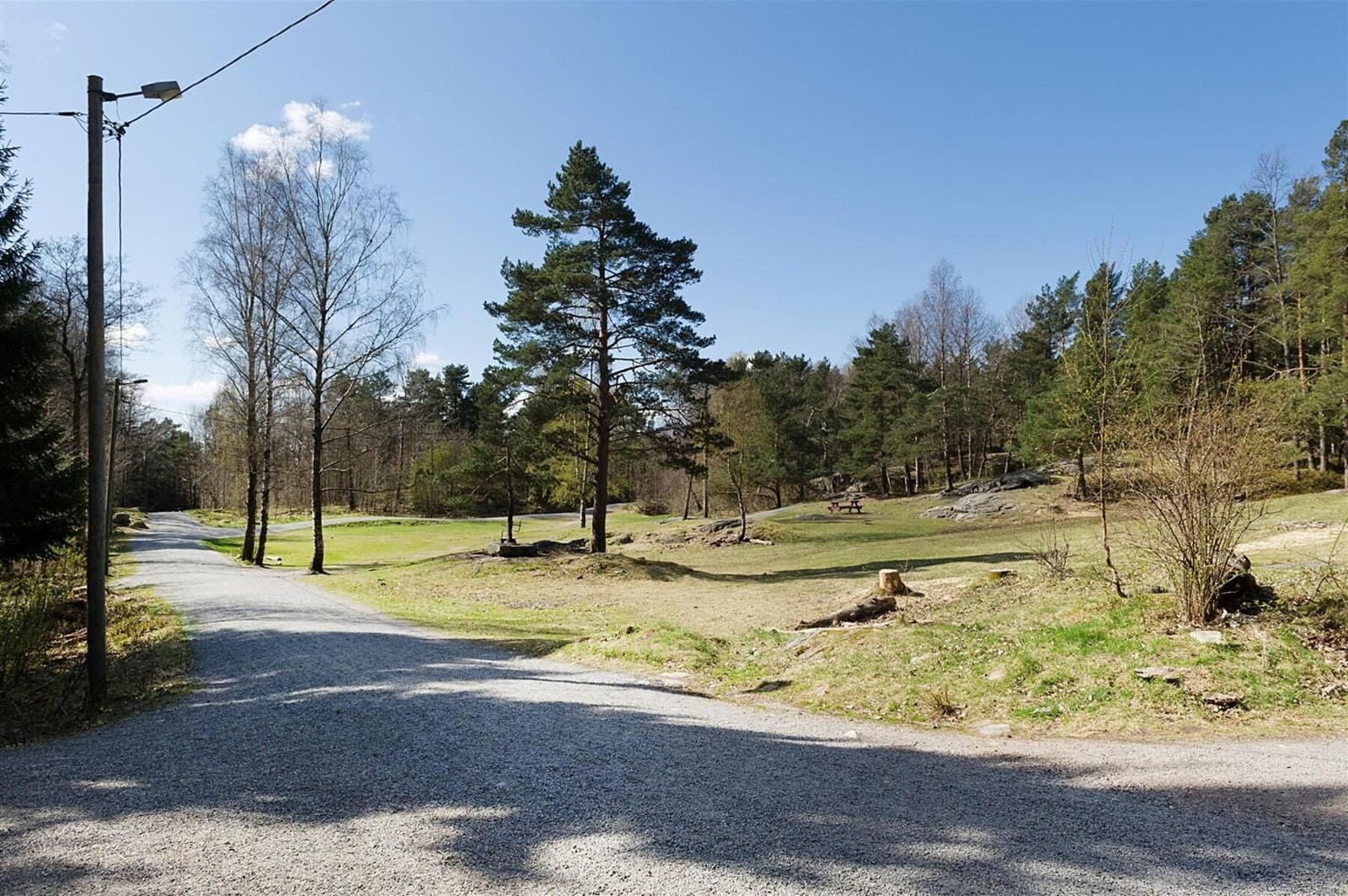 Fra Grønn slette i Jegersberg Galleribilde