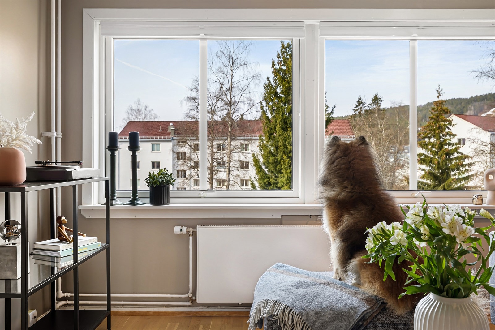 Området er svært populært for både barnefamilier og mennesker med sans for trening, tur og friluft Galleribilde