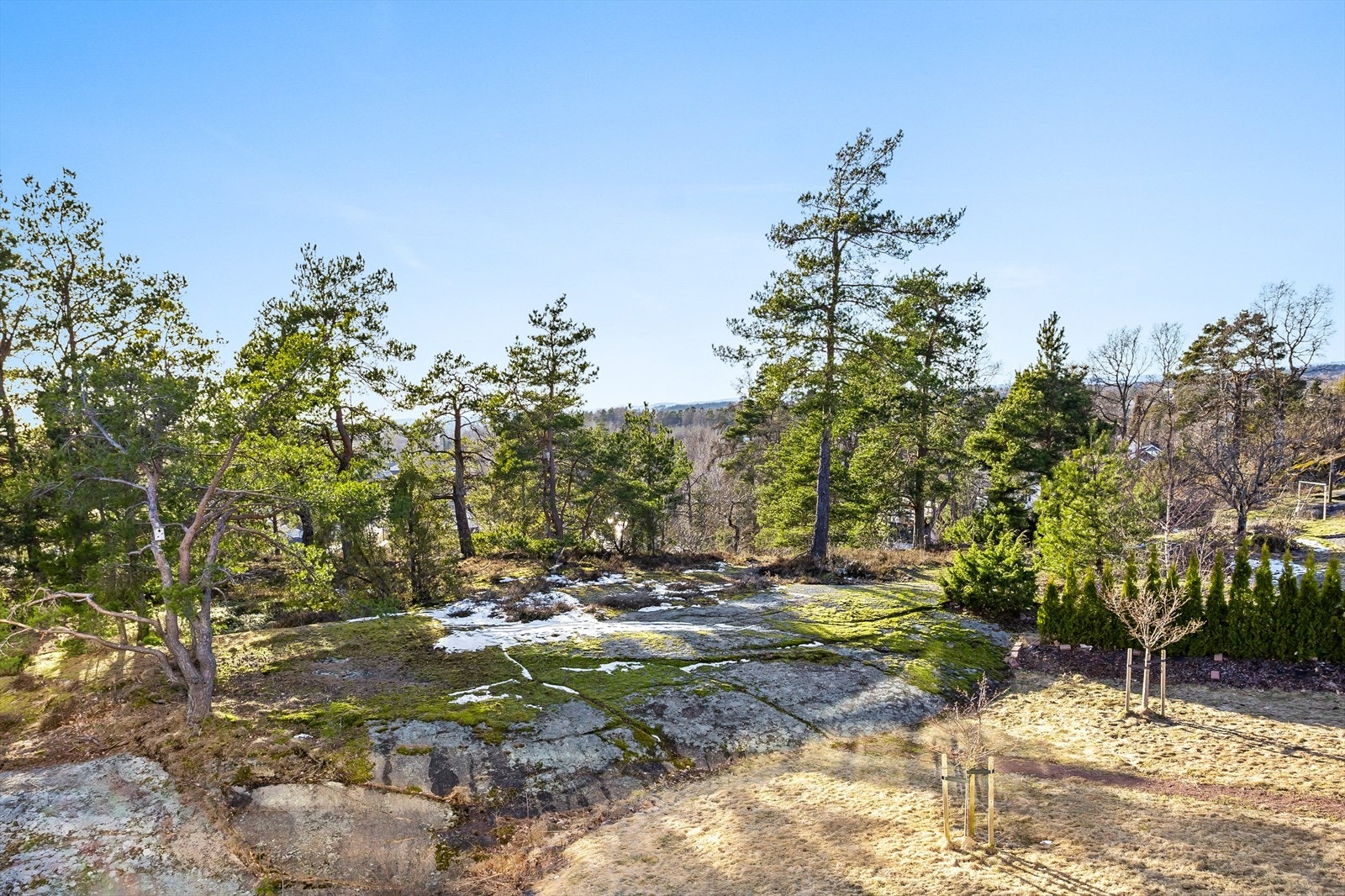 Herfra er det fint utsyn mot friareal! Galleribilde