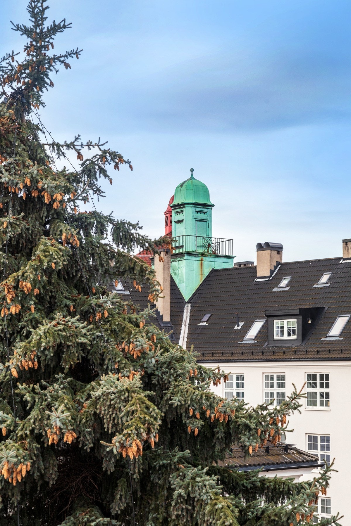 Utsikt fra stue vinduet. Galleribilde