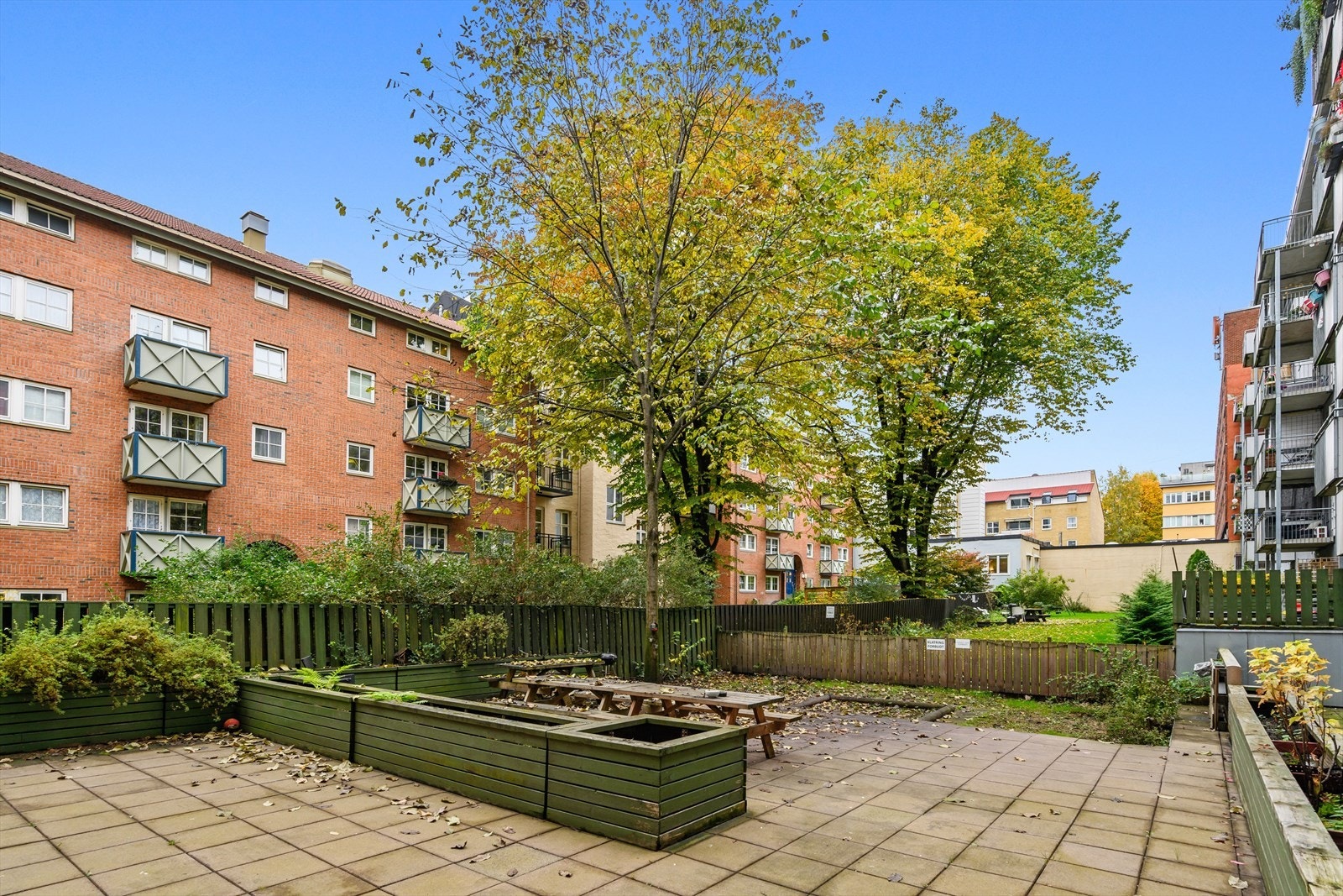 Felles bakgård Galleribilde