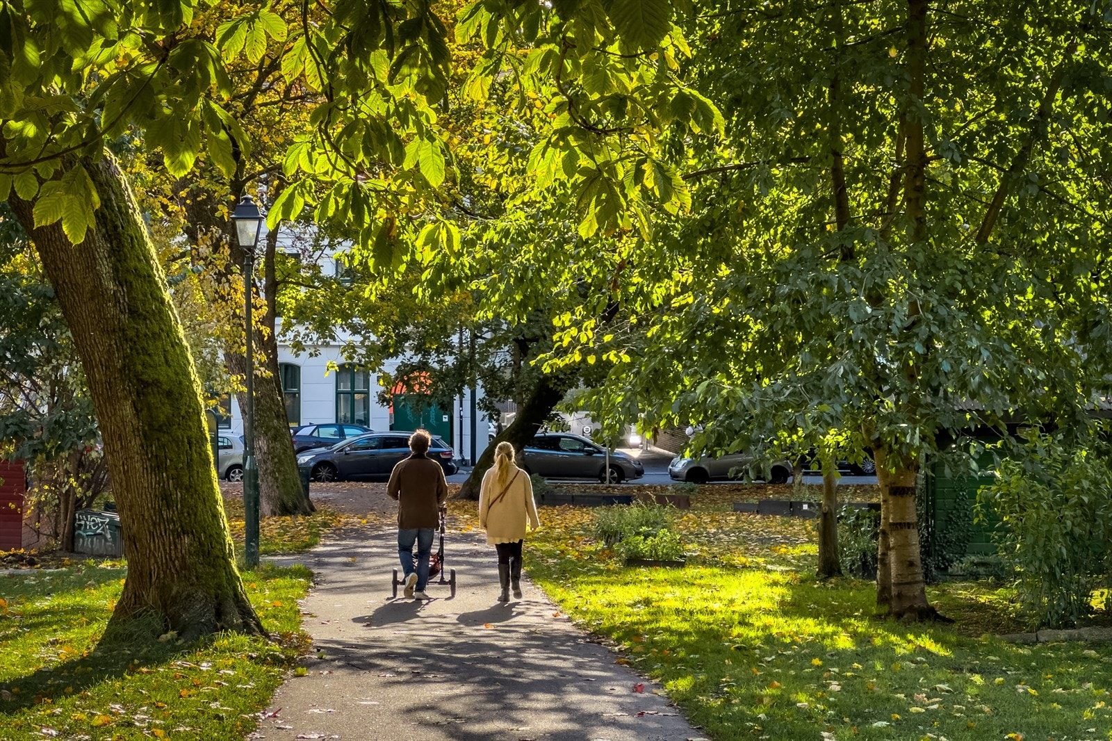 Nærområde Galleribilde
