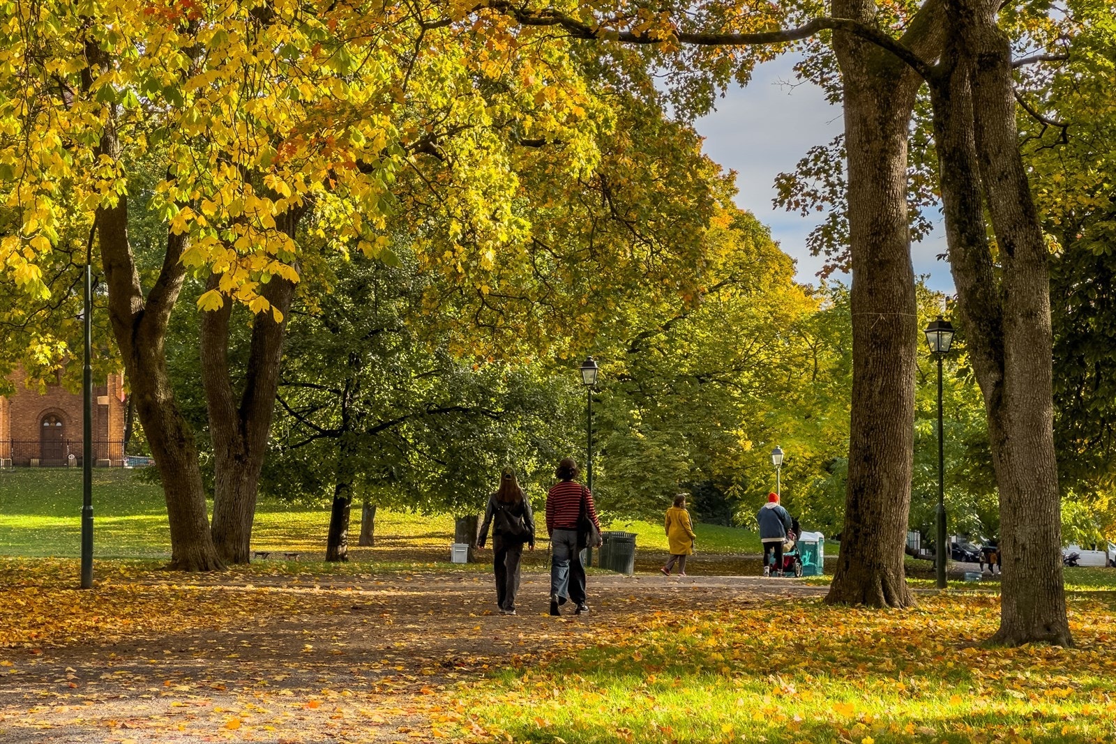 Nærområde Galleribilde