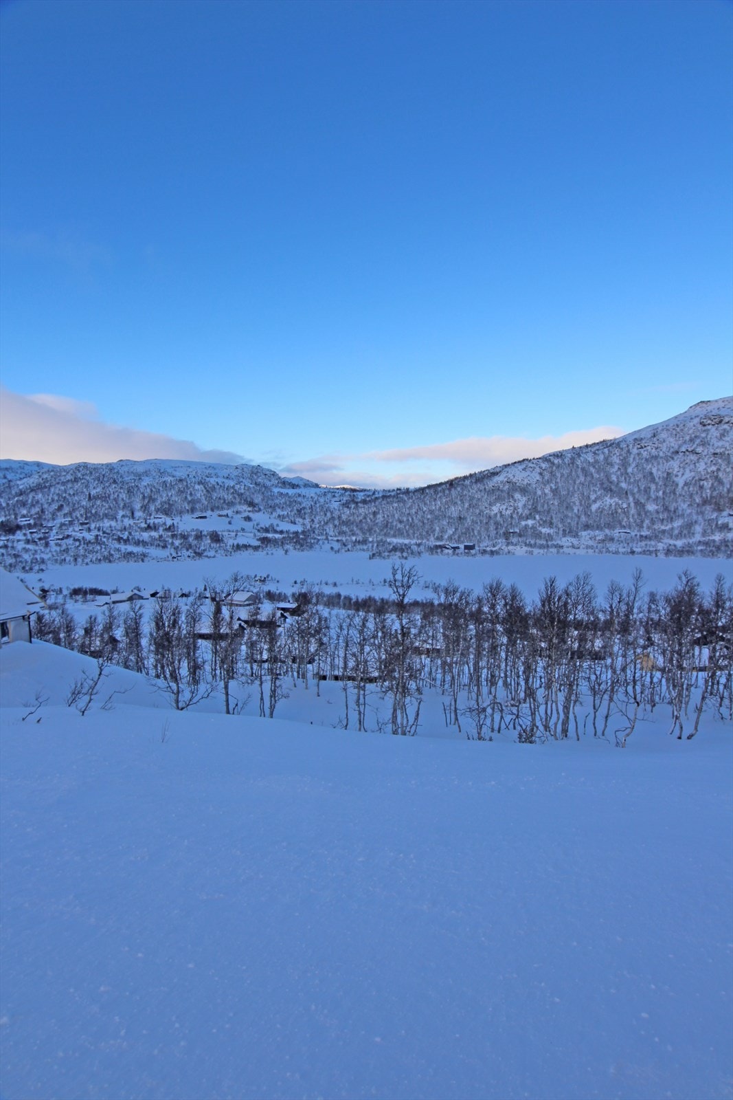 Utsikten fra tomten mot Torvetjønn Galleribilde