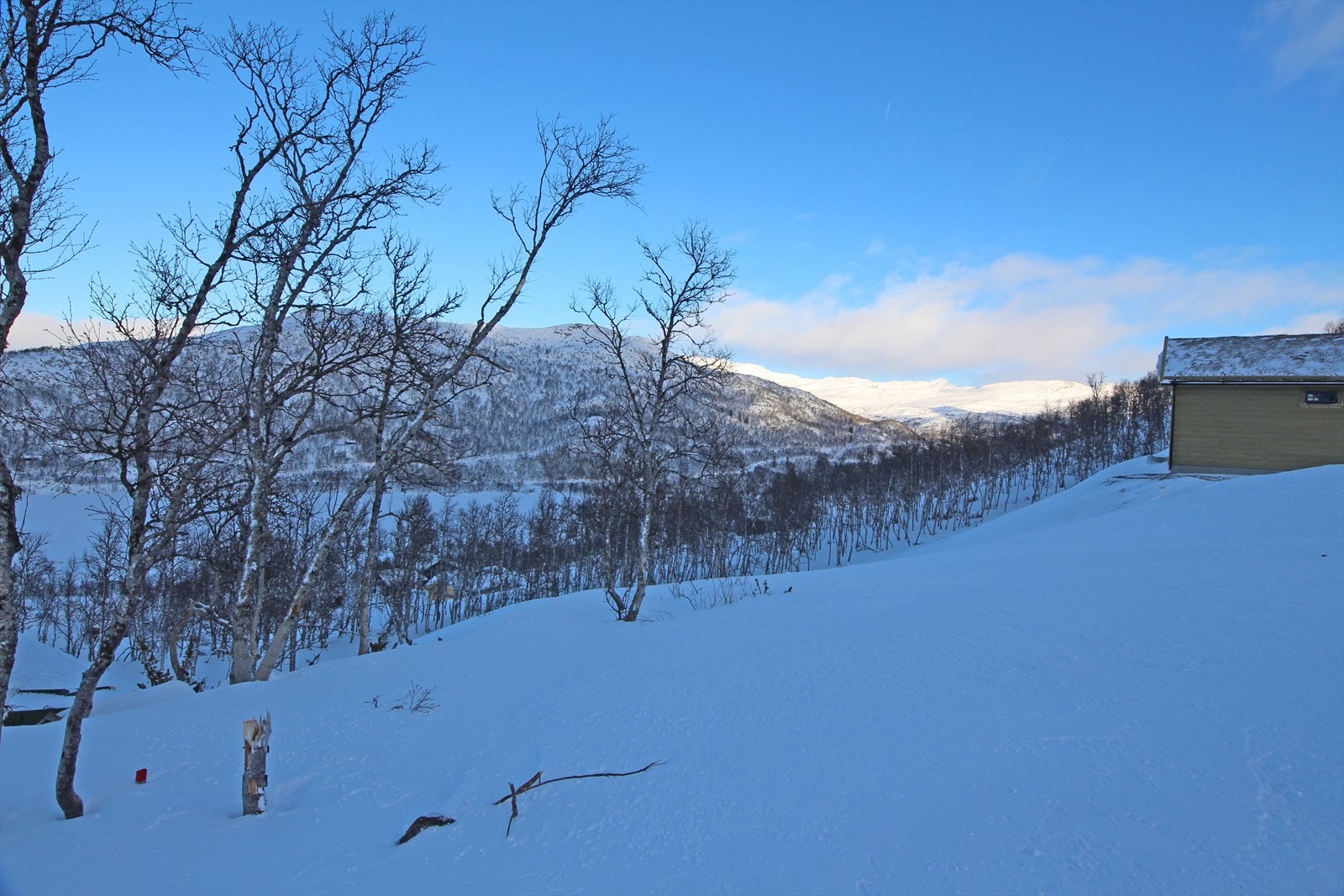Utsikten mot fjellene i nordøst. Galleribilde