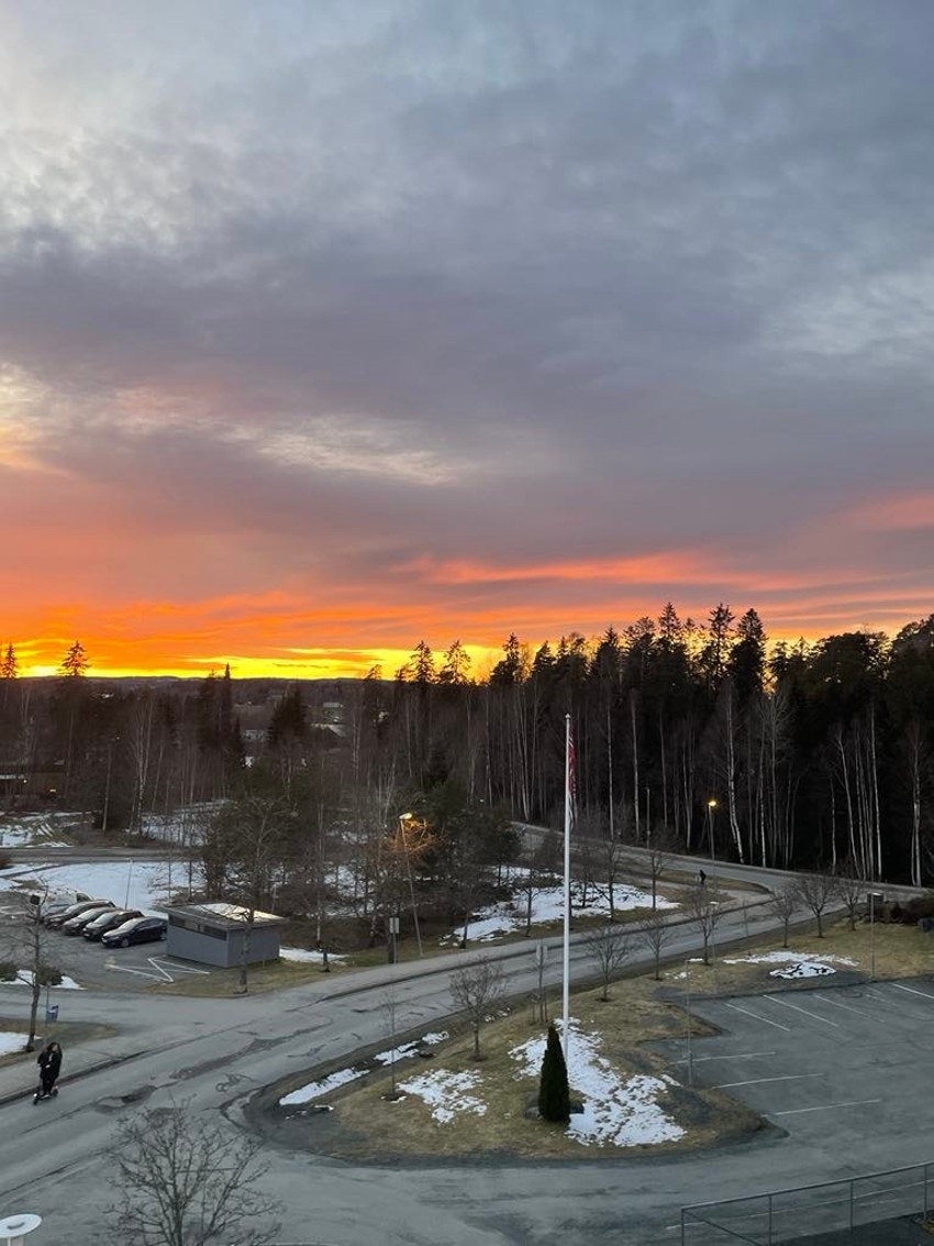 Selgers private bilde - sjekk den utsikten! Galleribilde