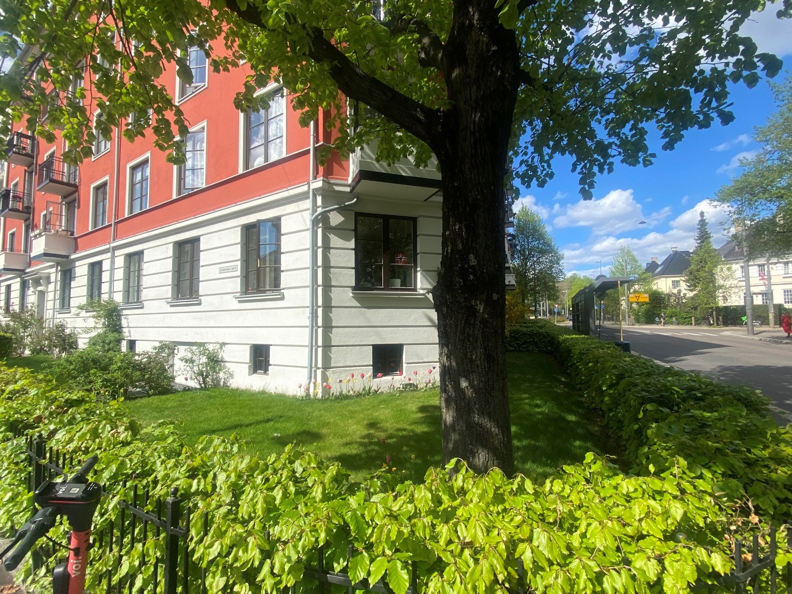 Sommerbilde av den frodige forhagen. Selgers bilde. Galleribilde