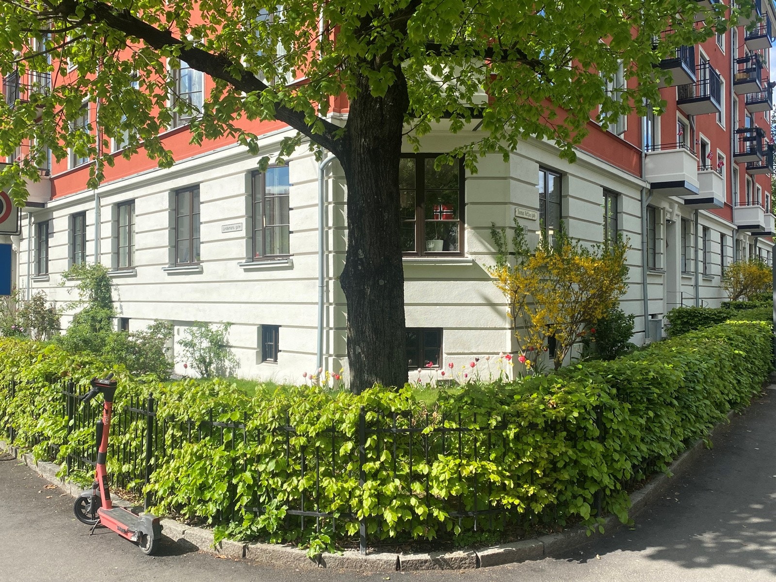 Sommerbilde av den frodige forhagen. Selgers bilde. Galleribilde