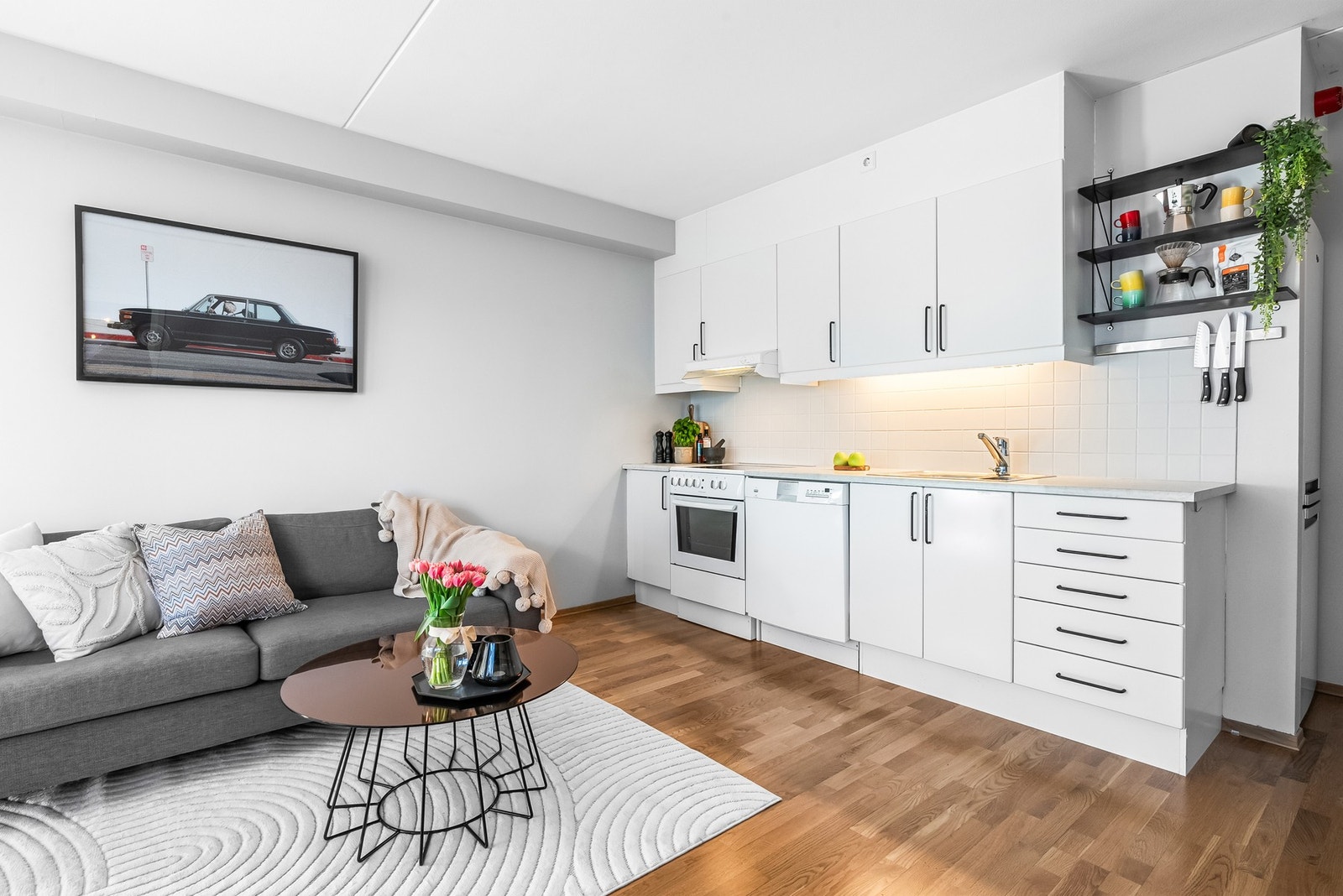 Hvitevarer som induksjonsplatetopp, stekeovn, oppvaskmaskin og mekanisk avtrekk ut i felles kanal. Galleribilde