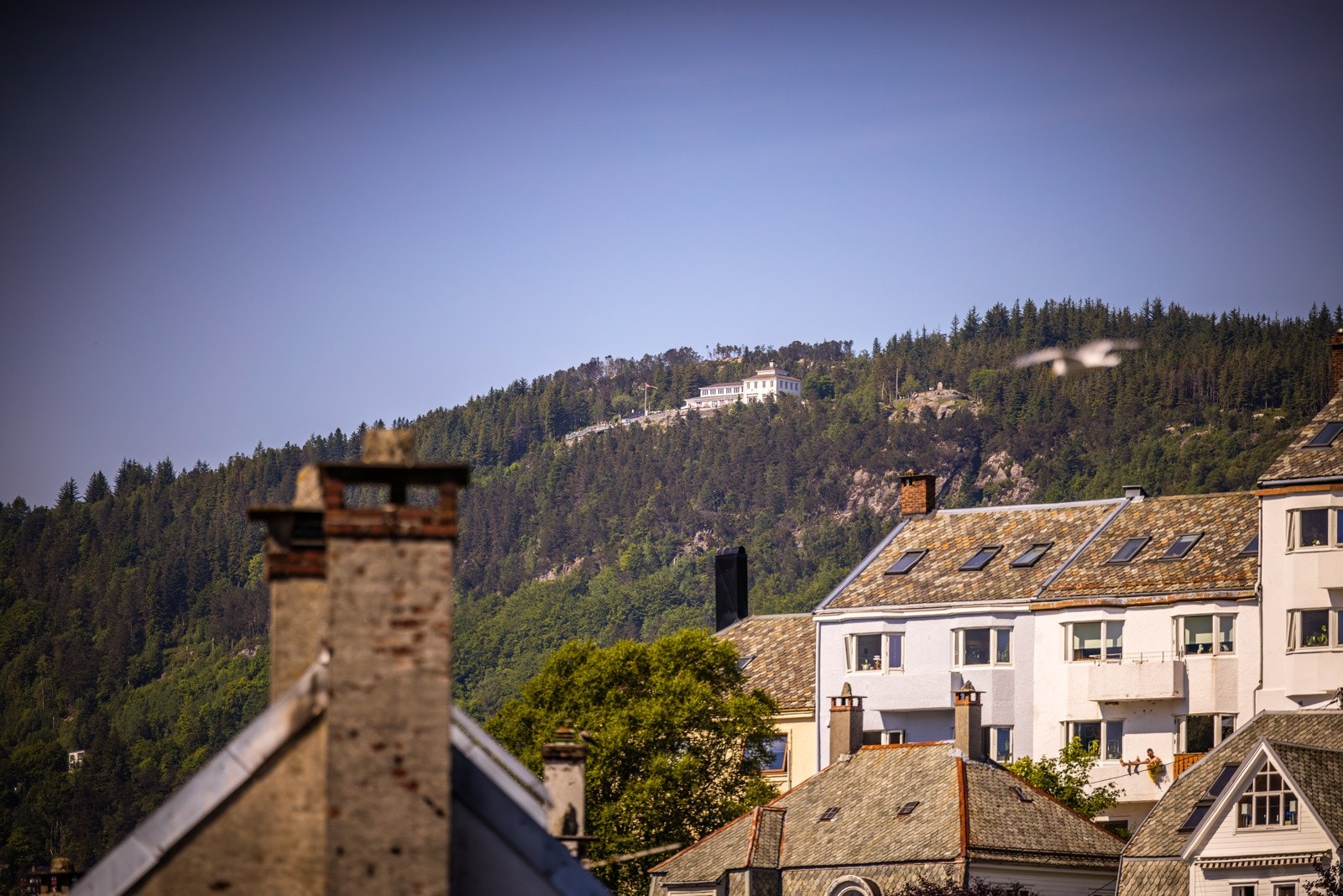 Utsikt mot Fløyen fra leiligheten Galleribilde