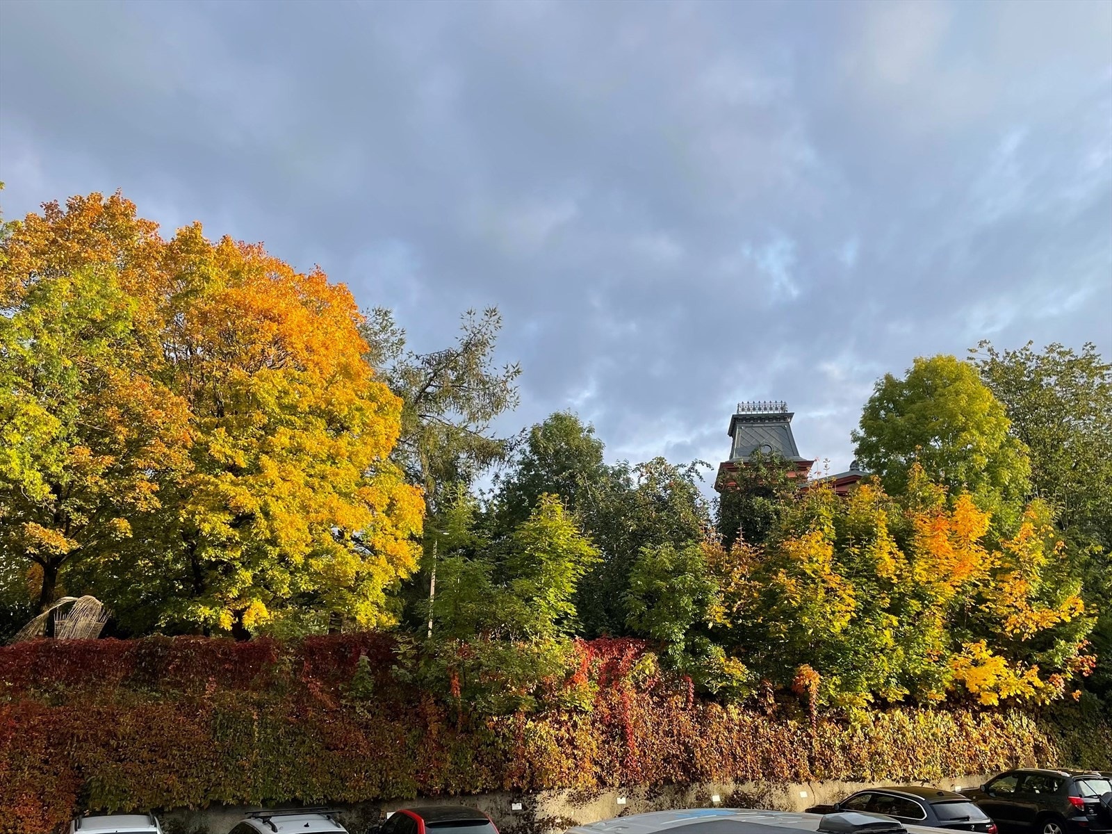 Bilde tatt fra soverommet i fjor høst Galleribilde