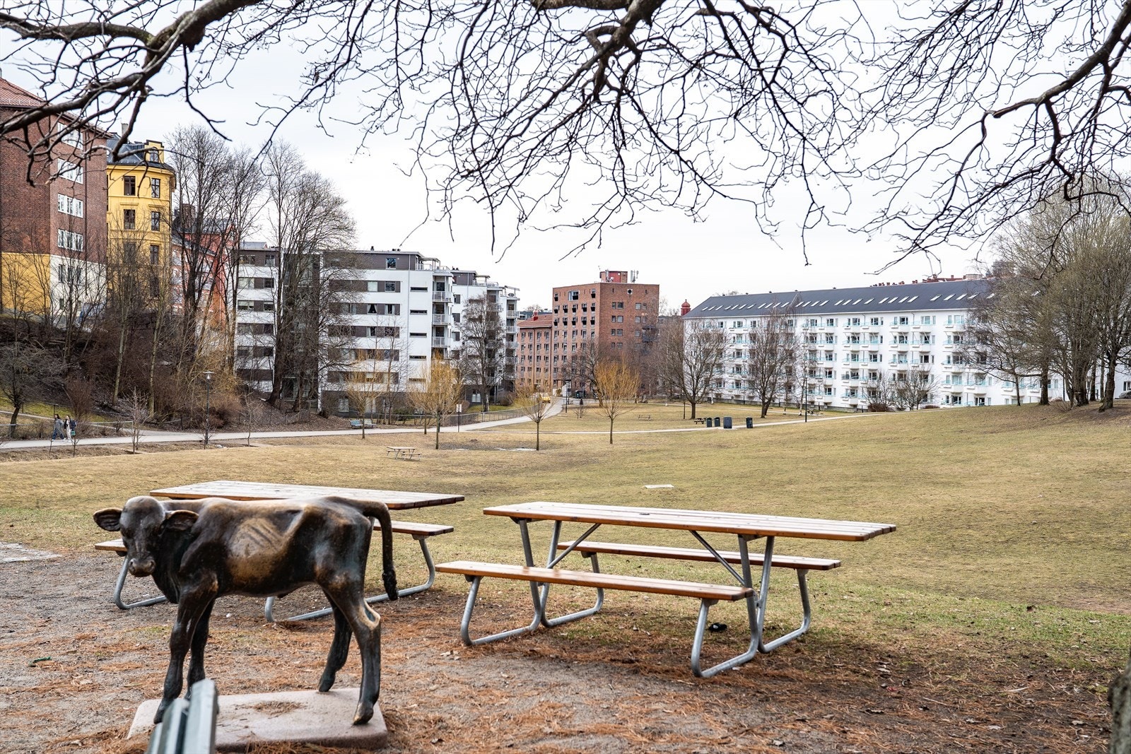Rolige parkopplevelser og yrende byliv. Iladalen park, med sine grønne områder ligger en kort spasertur unna. Galleribilde
