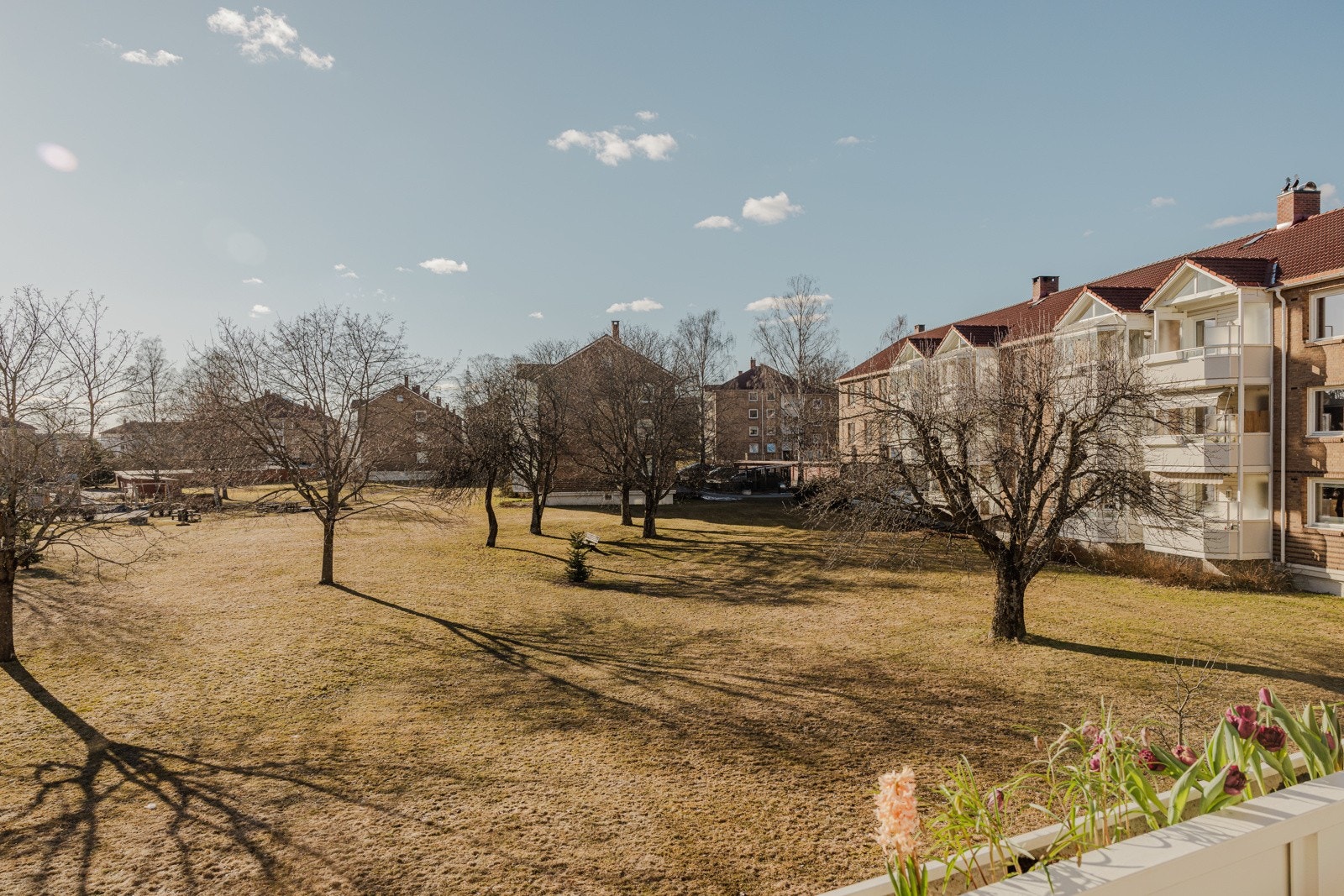 Om sommeren er trærne full av grønne blader og epletreet utenfor gir gode epler Galleribilde